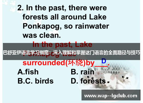 巴舒亚伊语言学习指南：深入理解和掌握这门语言的全面路径与技巧