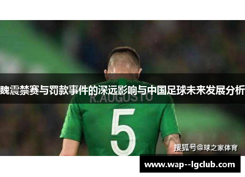 魏震禁赛与罚款事件的深远影响与中国足球未来发展分析